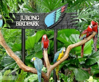 Jurong Bird Park