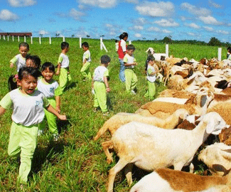 Leisure Farm Tour